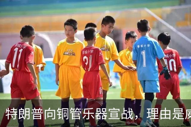 特朗普向铜管乐器宣战，理由是威胁国家安全